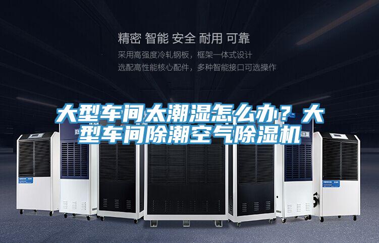 大型车间太潮湿怎么办？大型车间除潮空气91香蕉视频下载网站