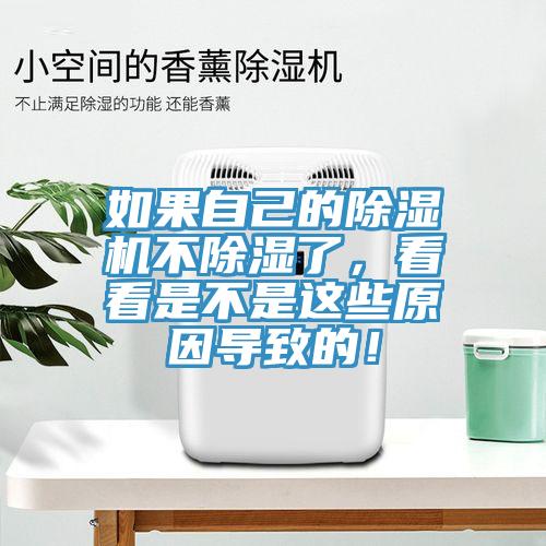 如果自己的91香蕉视频下载网站不除湿了，看看是不是这些原因导致的！