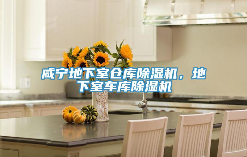 咸宁地下室仓库91香蕉视频下载网站，地下室车库91香蕉视频下载网站