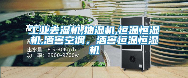 工业去湿机,抽湿机,恒温恒湿机,酒窖空调，酒窖恒温恒湿机
