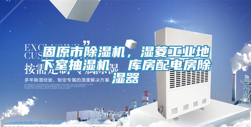固原市91香蕉视频下载网站，湿菱工业地下室抽湿机  库房配电房除湿器