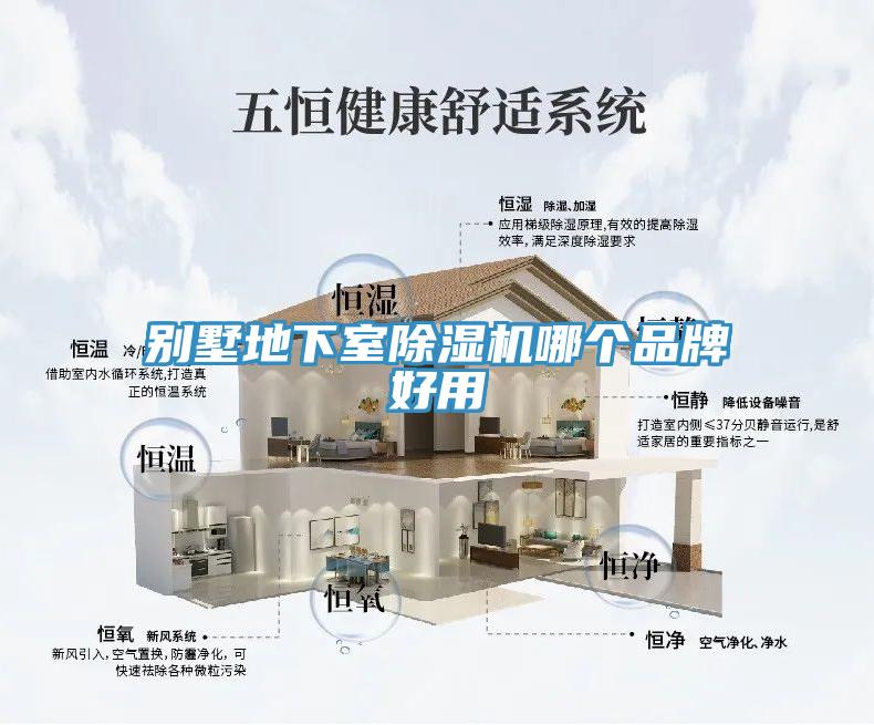别墅地下室91香蕉视频下载网站哪个品牌好用