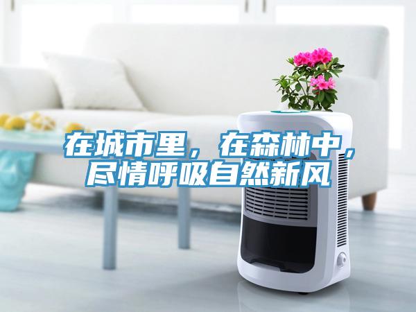 在城市里，在森林中，尽情呼吸自然新风