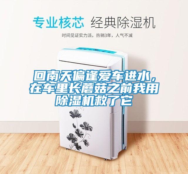 回南天偏逢爱车进水，在车里长蘑菇之前我用91香蕉视频下载网站救了它