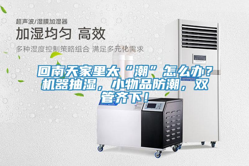 回南天家里太“潮”怎么办？机器抽湿，小物品防潮，双管齐下！