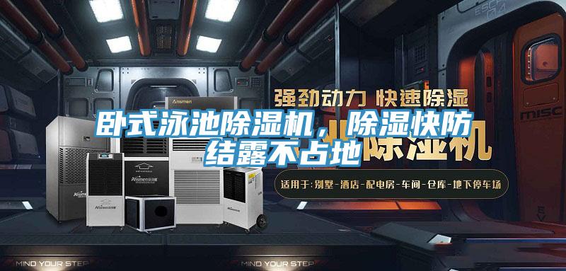卧式泳池91香蕉视频下载网站，除湿快防结露不占地
