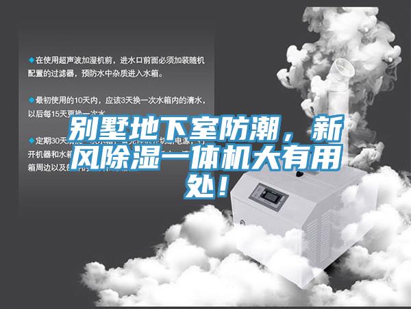别墅地下室防潮，新风除湿一体机大有用处！