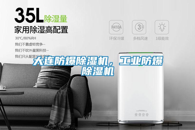 大连防爆91香蕉视频下载网站，工业防爆91香蕉视频下载网站