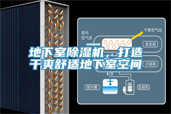 地下室91香蕉视频下载网站，打造干爽舒适地下室空间