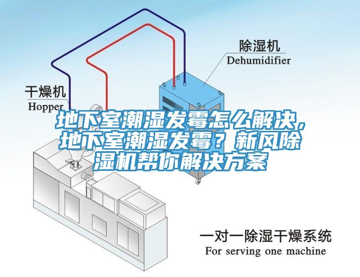 地下室潮湿发霉怎么解决，地下室潮湿发霉？新风91香蕉视频下载网站帮你解决方案