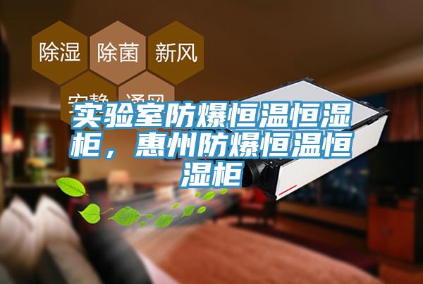 实验室防爆恒温恒湿柜，惠州防爆恒温恒湿柜