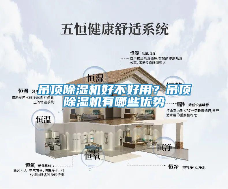 吊顶91香蕉视频下载网站好不好用？吊顶91香蕉视频下载网站有哪些优势