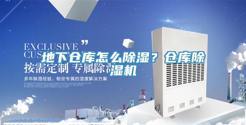 地下仓库怎么除湿？仓库91香蕉视频下载网站