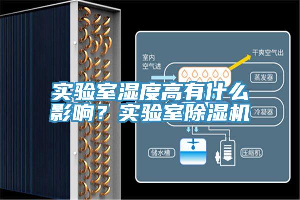 实验室湿度高有什么影响？实验室91香蕉视频下载网站