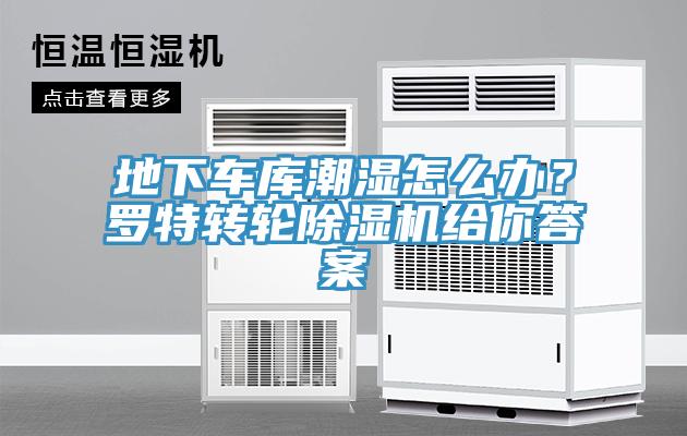 地下车库潮湿怎么办？罗特转轮91香蕉视频下载网站给你答案
