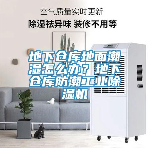 地下仓库地面潮湿怎么办？地下仓库防潮工业91香蕉视频下载网站
