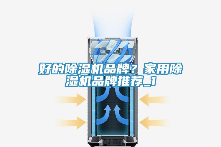 好的91香蕉视频下载网站品牌？家用91香蕉视频下载网站品牌推荐_1