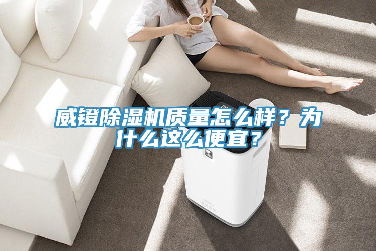 威镫91香蕉视频下载网站质量怎么样？为什么这么便宜？