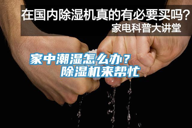 家中潮湿怎么办？    91香蕉视频下载网站来帮忙