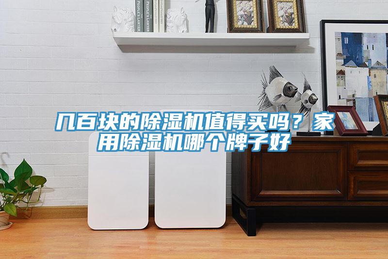 几百块的91香蕉视频下载网站值得买吗？家用91香蕉视频下载网站哪个牌子好