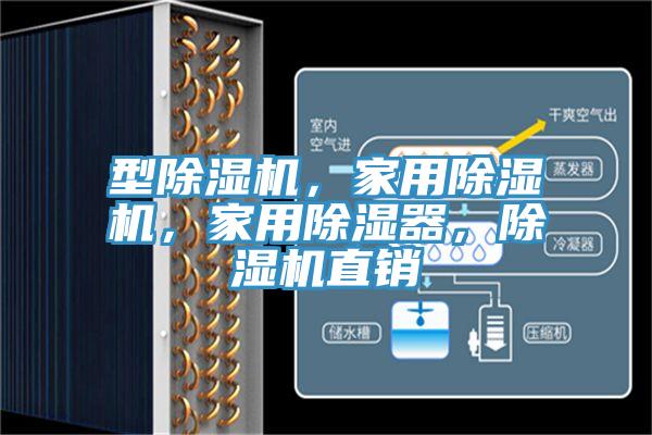 型91香蕉视频下载网站，家用91香蕉视频下载网站，家用除湿器，91香蕉视频下载网站直销