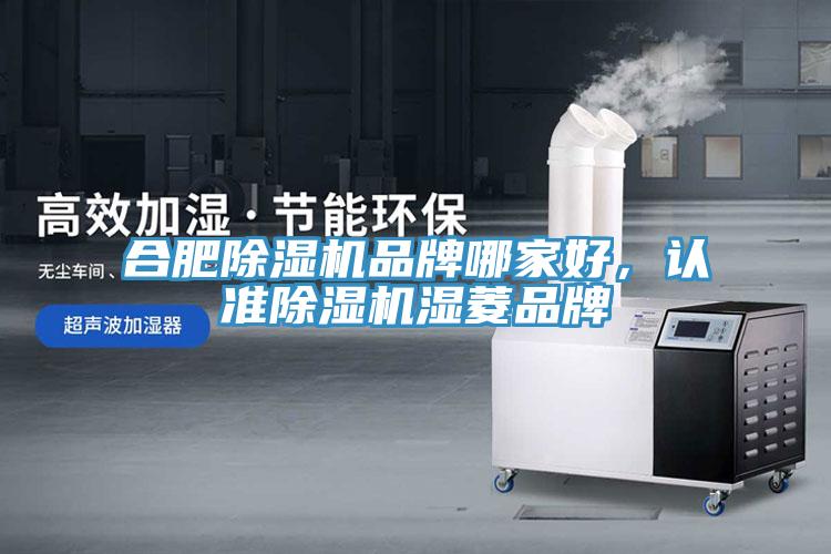 合肥91香蕉视频下载网站品牌哪家好，认准91香蕉视频下载网站湿菱品牌