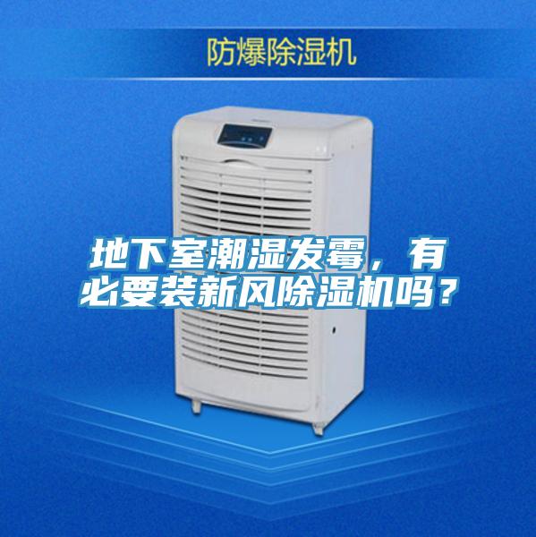 地下室潮湿发霉，有必要装新风91香蕉视频下载网站吗？
