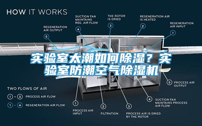 实验室太潮如何除湿？实验室防潮空气91香蕉视频下载网站