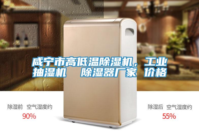 咸宁市高低温91香蕉视频下载网站，工业抽湿机  除湿器厂家 价格