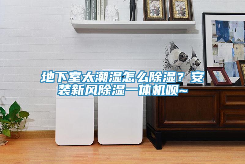 地下室太潮湿怎么除湿？安装新风除湿一体机呗~