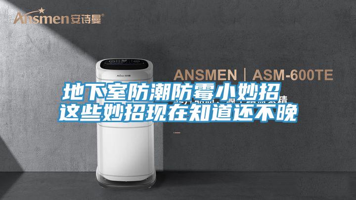 地下室防潮防霉小妙招 这些妙招现在知道还不晚