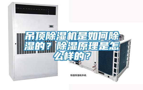 吊顶91香蕉视频下载网站是如何除湿的？除湿原理是怎么样的？