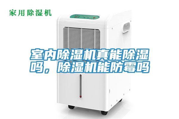 室内91香蕉视频下载网站真能除湿吗，91香蕉视频下载网站能防霉吗