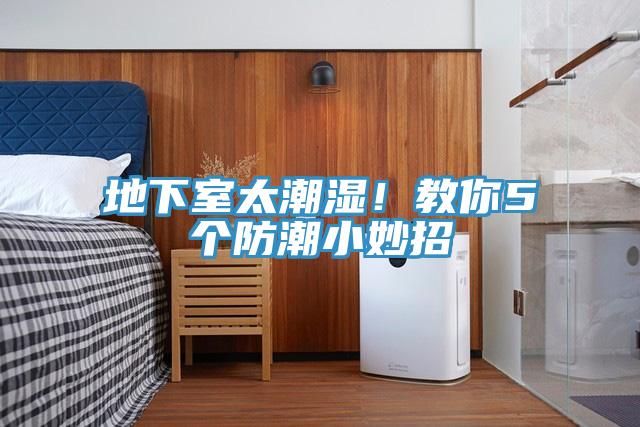 地下室太潮湿！教你5个防潮小妙招