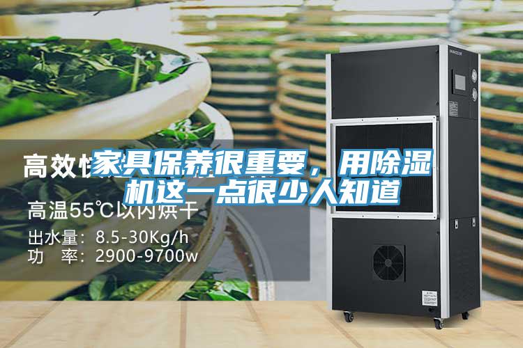 家具保养很重要，用91香蕉视频下载网站这一点很少人知道
