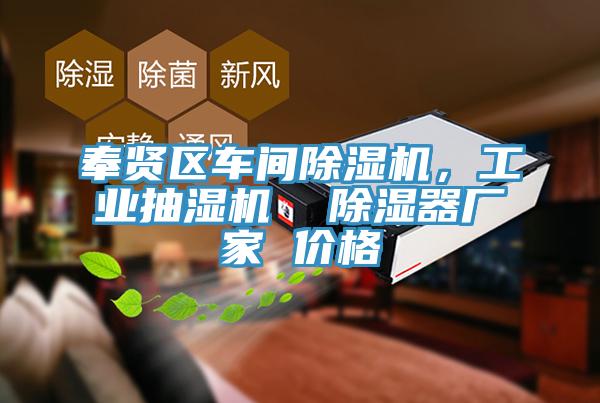 奉贤区车间91香蕉视频下载网站，工业抽湿机  除湿器厂家 价格