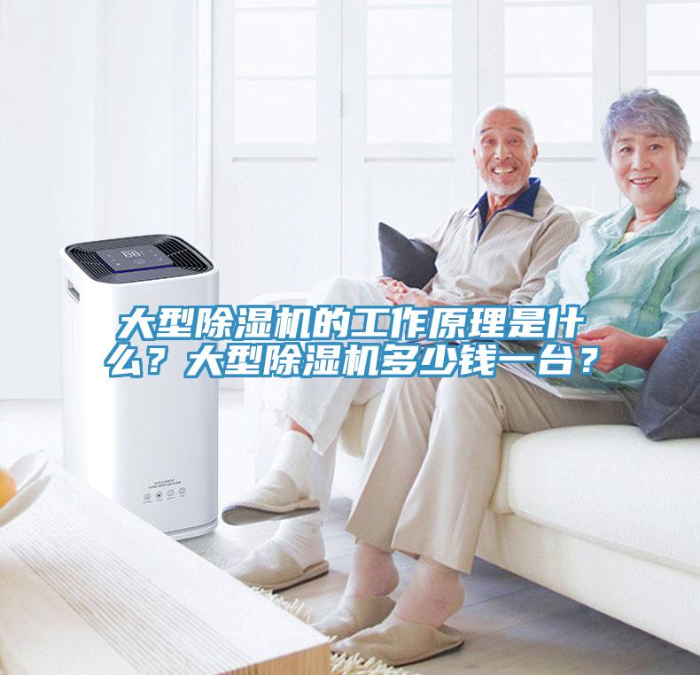 大型91香蕉视频下载网站的工作原理是什么？大型91香蕉视频下载网站多少钱一台？