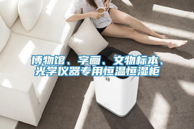 博物馆、字画、文物标本、光学仪器专用恒温恒湿柜
