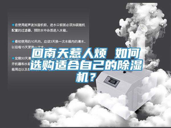 回南天惹人烦 如何选购适合自己的91香蕉视频下载网站？