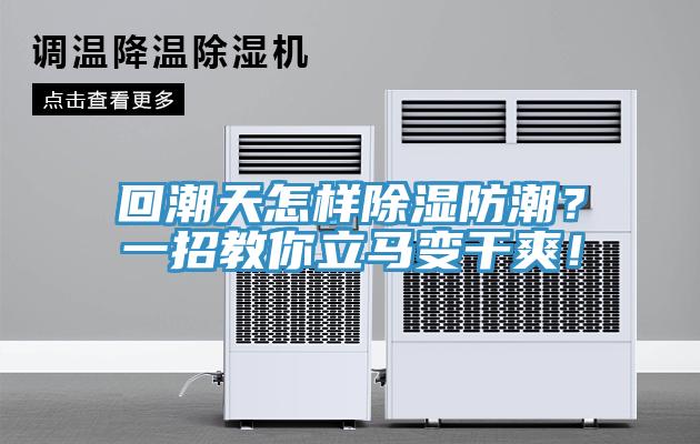 回潮天怎样除湿防潮？一招教你立马变干爽！