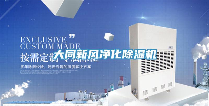 大同新风净化91香蕉视频下载网站