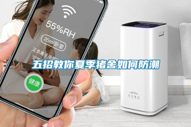 五招教你夏季猪舍如何防潮