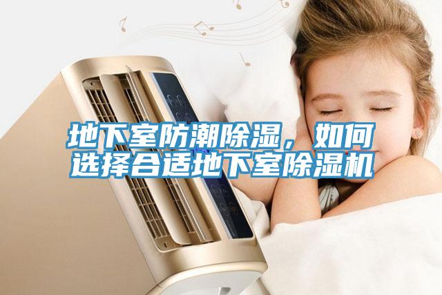 地下室防潮除湿，如何选择合适地下室91香蕉视频下载网站
