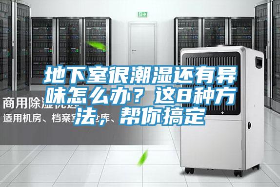 地下室很潮湿还有异味怎么办？这8种方法，帮你搞定