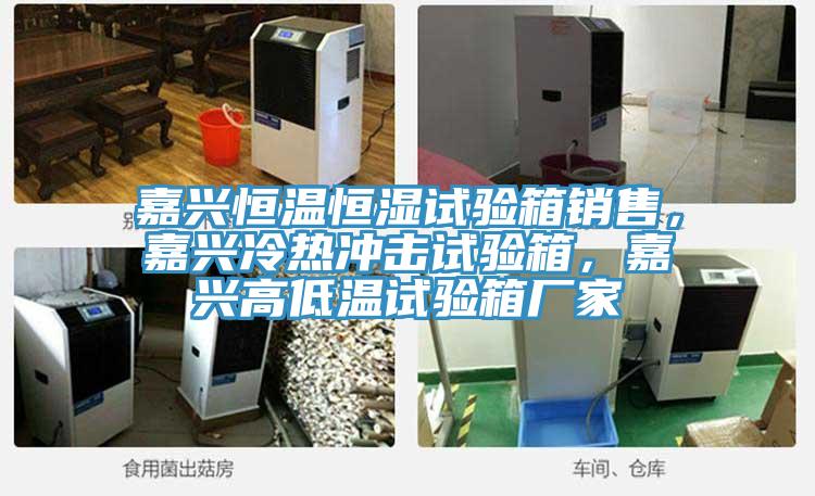 嘉兴恒温恒湿试验箱销售，嘉兴冷热冲击试验箱，嘉兴高低温试验箱厂家