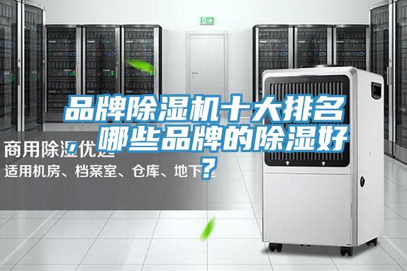 品牌91香蕉视频下载网站十大排名，哪些品牌的除湿好？