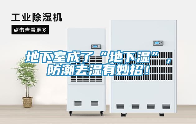 地下室成了“地下湿”，防潮去湿有妙招！