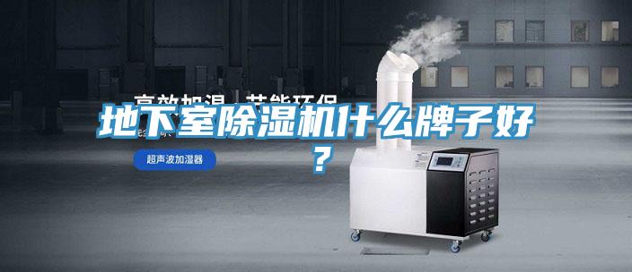 地下室91香蕉视频下载网站什么牌子好？