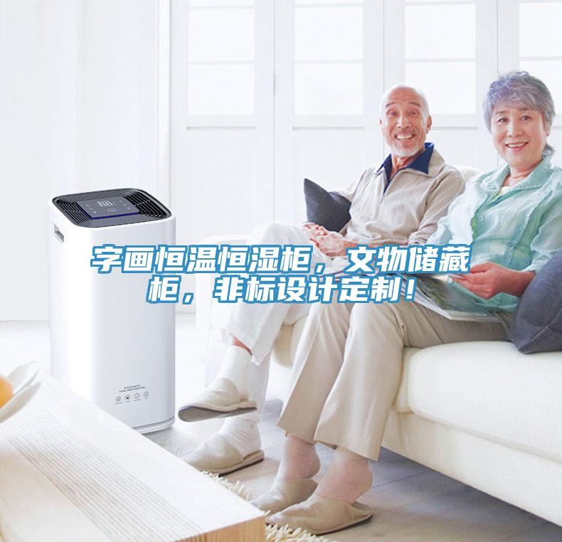 字画恒温恒湿柜，文物储藏柜，非标设计定制！