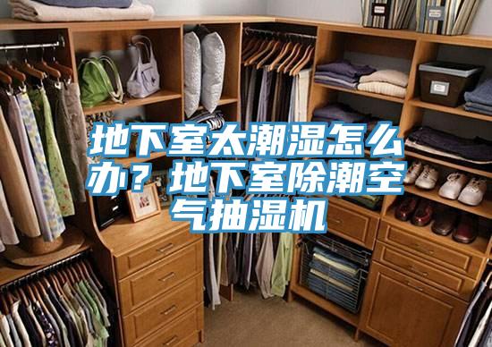 地下室太潮湿怎么办？地下室除潮空气抽湿机